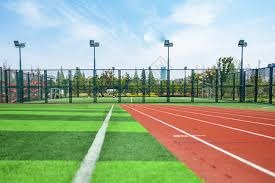 图卢兹官方：加纳国脚弗朗西斯赛季报销，或将无缘世界杯